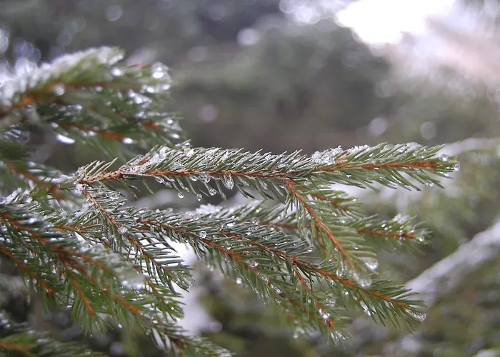 Post Steinach Hotel Steinach am Brenner