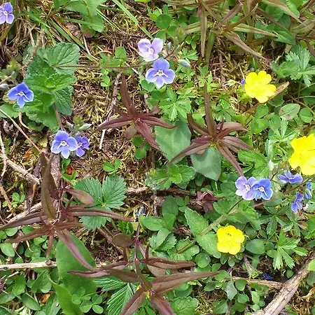 Post Steinach 3* Steinach am Brenner